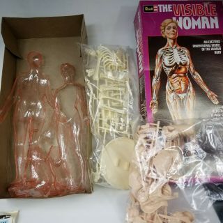 1977 Revell The Visible Woman Model Kit and Instructions 3