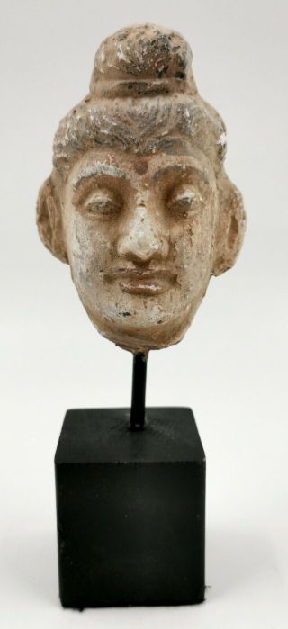 Unusual Rare Greek Hellenistic Ca.  400 Bc Terracotta Head Of A Philosopher - R318