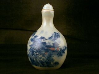 Wonderful 19thc Chinese Blue & White Porcelain Landscape Snuff Bottle E003