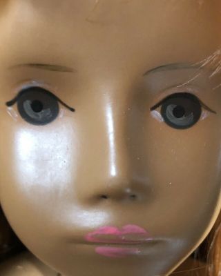 1960 ' s Vintage Sasha Serie Doll Gotz Carrot Top Redhead Slate Eyes,  Deep Tan 8