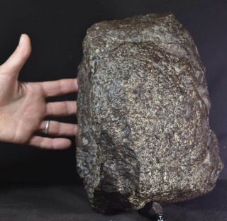 Wow Rare 17,  5 Kg Huge Chondrite Meteorite Nwa 869