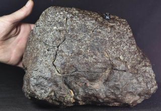 WOW RARE 17,  5 kg HUGE Chondrite Meteorite NWA 869 2