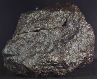 WOW RARE 17,  5 kg HUGE Chondrite Meteorite NWA 869 3