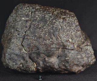 WOW RARE 17,  5 kg HUGE Chondrite Meteorite NWA 869 4