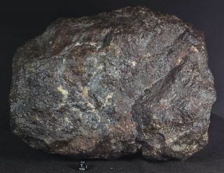 WOW RARE 17,  5 kg HUGE Chondrite Meteorite NWA 869 5