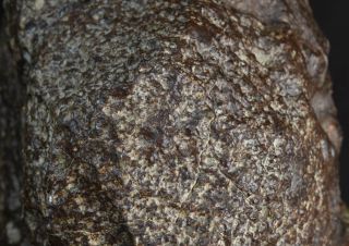 WOW RARE 17,  5 kg HUGE Chondrite Meteorite NWA 869 7