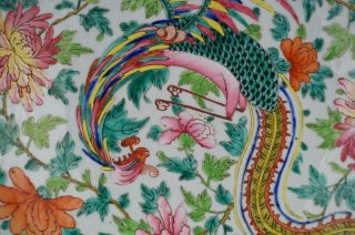 HUGE 13.  4  Chinese Famille Rose Porcelain Nyonya Straits Phoenix Plate 19th C 2