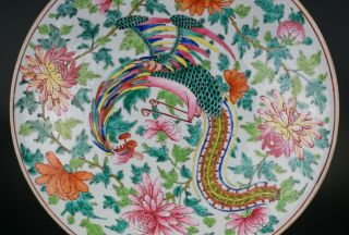 HUGE 13.  4  Chinese Famille Rose Porcelain Nyonya Straits Phoenix Plate 19th C 3