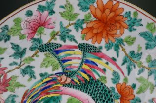HUGE 13.  4  Chinese Famille Rose Porcelain Nyonya Straits Phoenix Plate 19th C 4