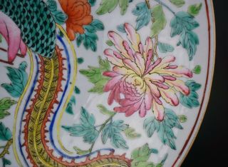 HUGE 13.  4  Chinese Famille Rose Porcelain Nyonya Straits Phoenix Plate 19th C 5