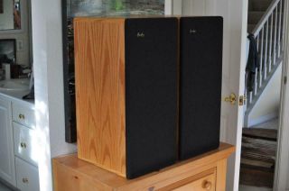 Dunlavy SM - I SMI SM1 Rare Main Audiophile Stereo Speakers 3