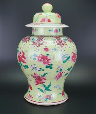 V - LARGE Antique Chinese Famille Rose Lime Green Enamel Vase & Lid 18/19th C QING 2