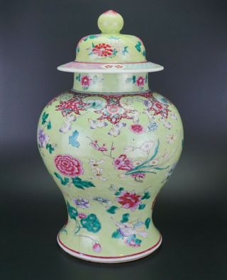 V - LARGE Antique Chinese Famille Rose Lime Green Enamel Vase & Lid 18/19th C QING 3