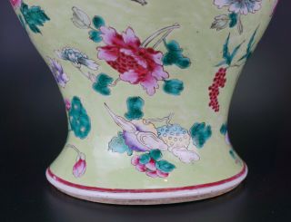 V - LARGE Antique Chinese Famille Rose Lime Green Enamel Vase & Lid 18/19th C QING 6