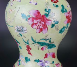 V - LARGE Antique Chinese Famille Rose Lime Green Enamel Vase & Lid 18/19th C QING 7