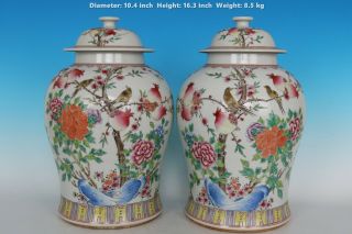 Chinese A Pair Famille Red Rare Porcelain Flowers And Birds Pots