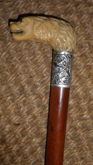 Antique Silver Dog/hounds Head With Glass Eyes Walking Stick - 89cm