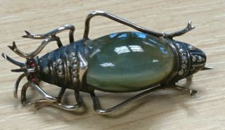Rare Antique Victorian Scottish Moss Agate & Ruby Silver Beetle Bug Brooch