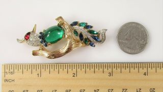 Stunning Trifari Rare Crown Jelly Belly Bird Rhinestone Brooch Pin Vintage 18.  9g 5