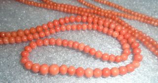 outstanding long old flapper era graduated coral bead necklace 3