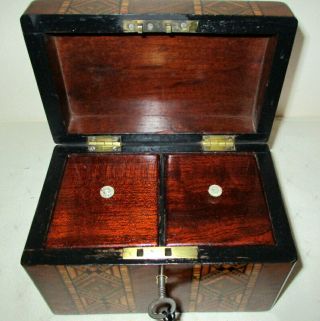 LOVELY SMALL (7 inches wide) ANTIQUE WALNUT BANDED TEA CADDY with key 5
