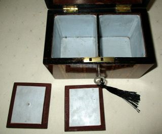 LOVELY SMALL (7 inches wide) ANTIQUE WALNUT BANDED TEA CADDY with key 6