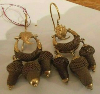 Victorian Mourning Hair Jewelry Acorn Bulbs Leaf Earrings 14k Gold Antique Art