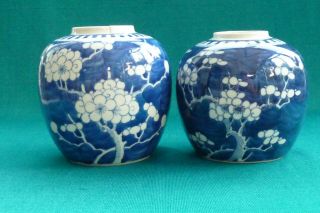 Two Lovely Chinese Blue & White Prunus Ginger Jars (minus Lids)