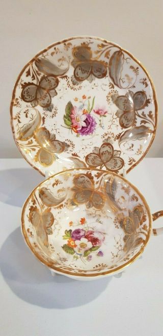 Antique Rockingham Cup And Saucer Pattern 1383 C.  1830