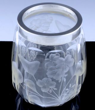 LARGE c1904 AMERICAN REPOUSSE STERLING SILVER CUT GLASS CIGAR HUMIDOR JAR 5