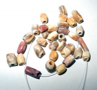 30 Pre - Columbian - Shell & Stone Beads - Moche Culture Peru C.  800 Ad