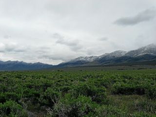 Rare 40 Acre Elko Nevada Ranch Mountain Meadows Ranches Cash