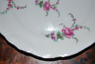 WONDERFUL WAWEL POLAND DECORATED FLOWERS ROSES SPRAYS MEDIUM SALAD SNACK PLATE 6 3