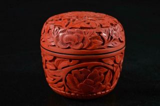 S904: Chinese Resin Arabesque Sculpture Tea Caddy Natsume Chaire Container