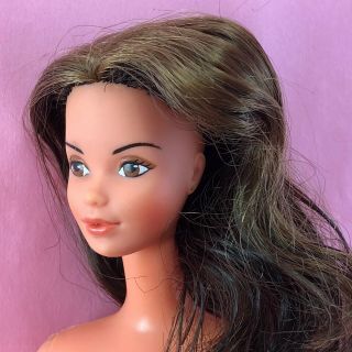 Barbie 1977 Fashion Photo Pj Rare Steffie Face Brunette Vintage Tnt Htf Doll U8