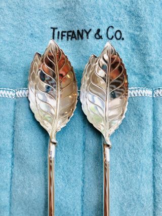 Authentic Tiffany Sterling Silver Leaf Shaped Ice Tea Julep Spoon/Straws 3