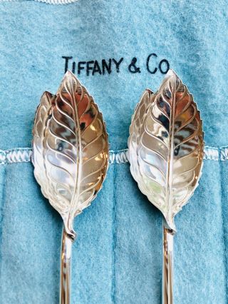 Authentic Tiffany Sterling Silver Leaf Shaped Ice Tea Julep Spoon/Straws 4