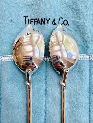 Authentic Tiffany Sterling Silver Leaf Shaped Ice Tea Julep Spoon/Straws 5