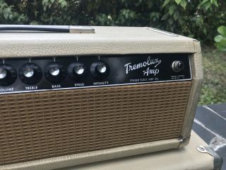Rare/Original Early Serial number 1963 Fender Blonde Tremolux amplifier head/cab 2