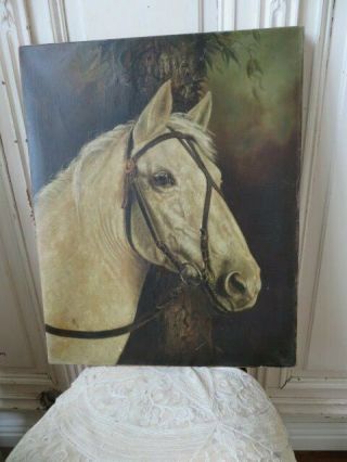 Fabulous Old Vintage Oil Painting White Horse On Canvas Well Painted