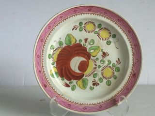 Antique Gaudy Dutch Kings Rose Plate Pink Border Soft Paste Pearlware 6.  25 "