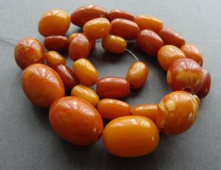 Antique Natural Butterscotch Egg Yolk Baltic Amber Graduated 30 Beads/26.  6 Grams 3