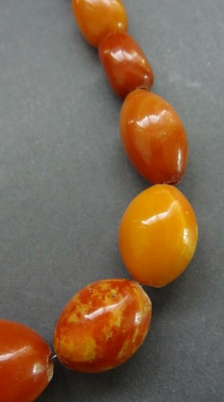 Antique Natural Butterscotch Egg Yolk Baltic Amber Graduated 30 Beads/26.  6 Grams 7