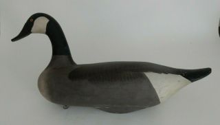 Wooden Solid Hand Carved Full Size Canada Goose Decoy Madison Mitchell