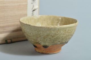 T3586: Japanese Shigaraki - Ware Green Glaze Nodate Tea Bowl Green Tea Tool W/box