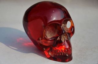 Collectible Decorate Handwork Old Burmese Amber Carving Skull Statue