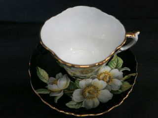 Aynsley C1089 Black Dogwood Floral Cup And Saucer 2