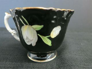 Aynsley C1089 Black Dogwood Floral Cup And Saucer 8