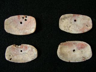 Four Authentic Shell Ornaments From Sonoma County,  California