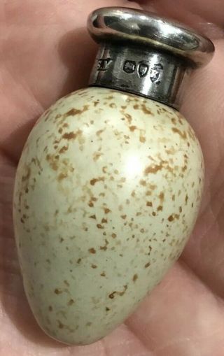 Antique Sampson Mordan Black Birds Egg Novelty Scent Bottle 1885